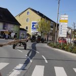 Maibaum SV Michelsdorf