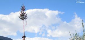 Maibaumaufstellen 2018