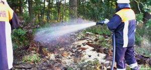 Einsatz 31 2017 Kleinbrand Untertraubenbach_Beitragsbild
