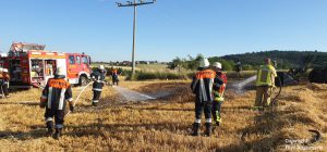 Einsatz 15 2019 Brand Freifläche Schorndorf Beitragsbild