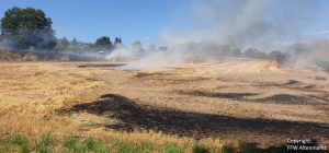 Einsatz 16 2019 Brand Getreidefeld Untertraubenbach Beitragsbild