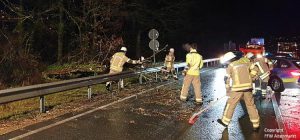Einsatz 08 2020 Baum auf Fahrbahn_Beitragsbild
