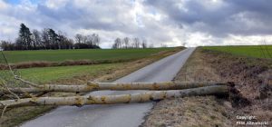 Einsatz 11 - 13 2020 Unwetter Sturm Sabine Beitragsbild
