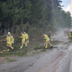 Einsatz 31 / 2020 Unwetter - Hagelschlag