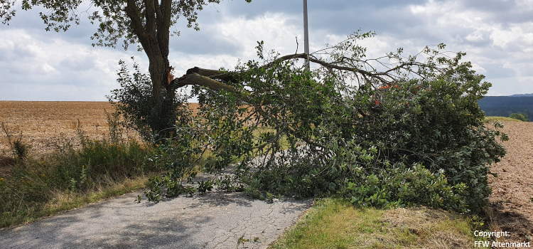 Einsatz 33 2020 Baum auf Fahrbahn_Beitragsbild