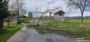 Einsatz 16 2021 Baum auf Fahrbahn Michelsdorf Beitragsbild