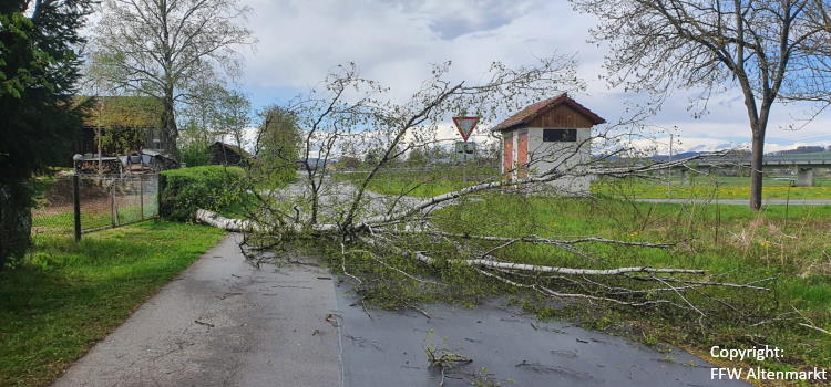 Einsatz 16 2021 Baum auf Fahrbahn Michelsdorf Beitragsbild
