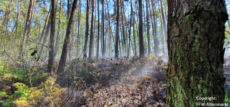 Einsatz 15 2022 Waldbrand Traitsching (1) - Beitragsbild