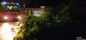 Einsatz 31 2023 Baum auf Fahrbahn Beitragsbild