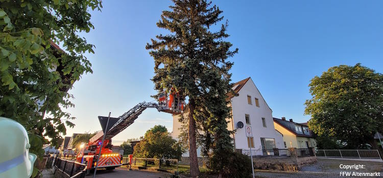 Einsatz 17 2024 Baum Blitzschlag Michelsdorf Beitrittsbild