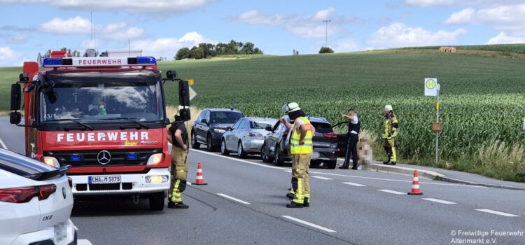 Einsatz 16 / 2025 Verkehrsunfall B20 Einsatz 16 2025 Verkehrsunfall B20 (1)