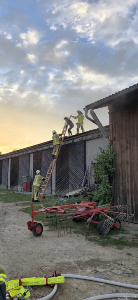 Übung Einsatz Wohnhausbrand Brand 2025 (8) Person mit Steckleiter retten