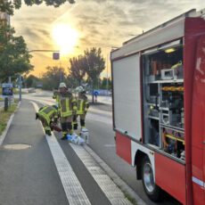 Einsatz 34 / 2026 Ölspur Cham-Süd Einsatz 34 2026 Ölspur Cham-Süd (1)